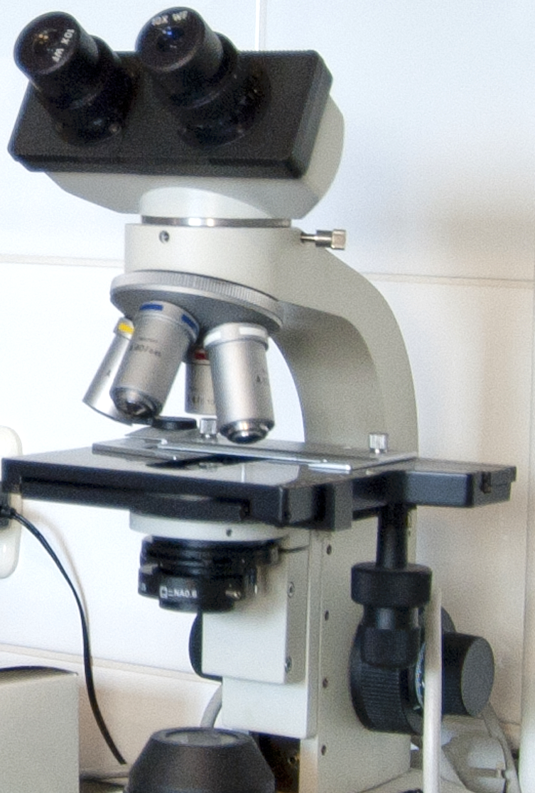 Mikroskop f. die Vasektomiekontrolle